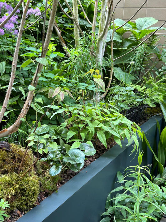 A Chelsea Townhouse Private Birthday Party Celebrated with a Tea Ceremony