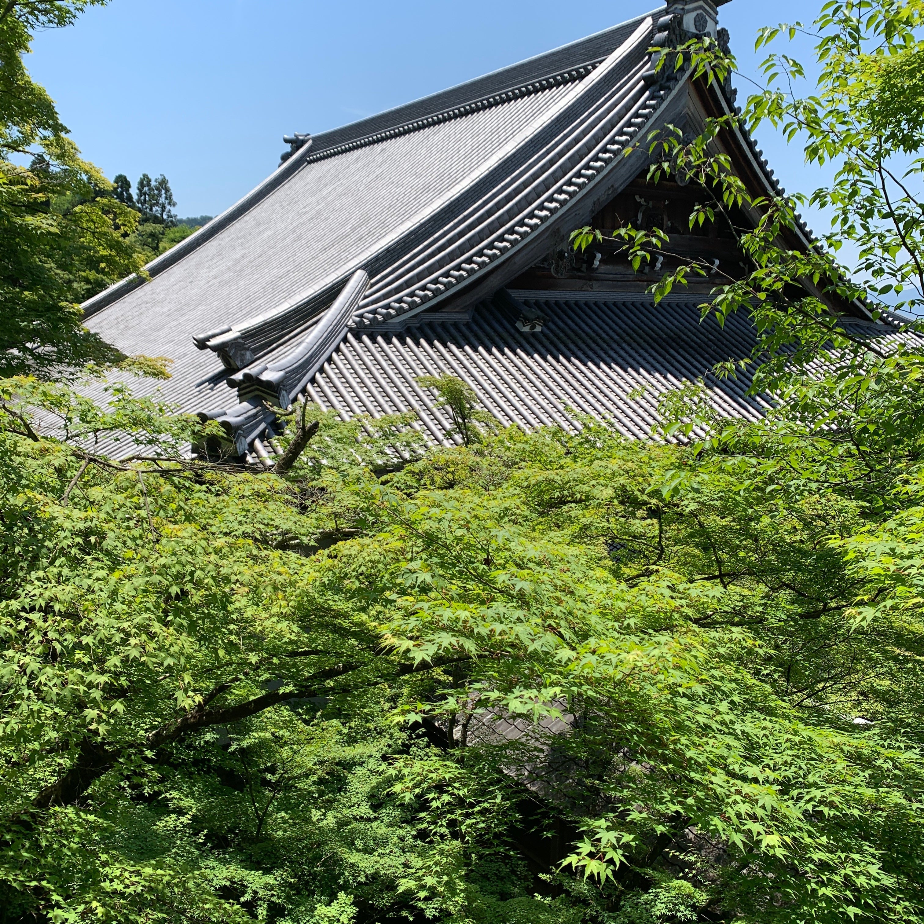 Meigetsuin and Tokeiji temples in Kamakura