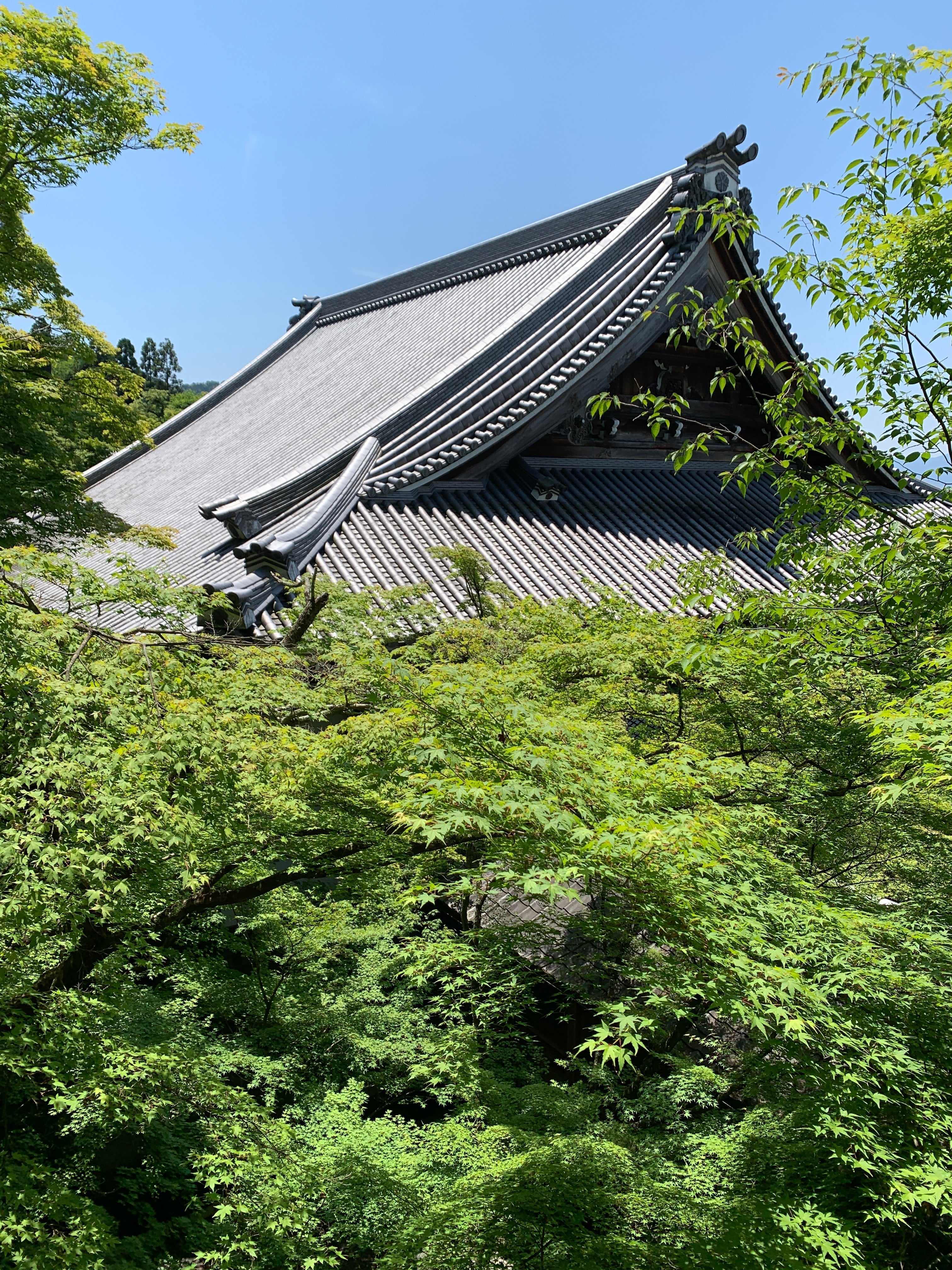 Meigetsuin and Tokeiji temples in Kamakura