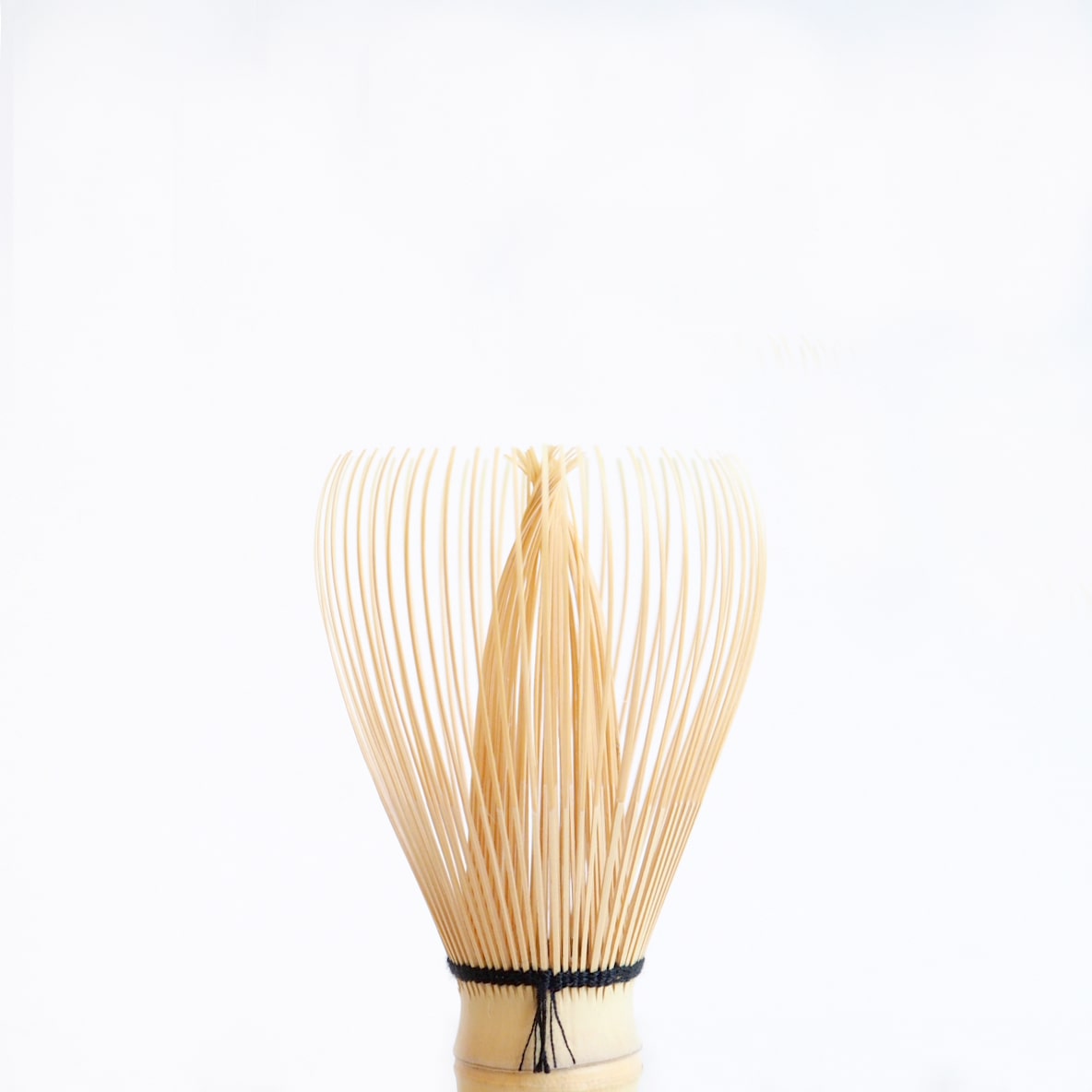 Shin Chasen (Bamboo Whisk)
