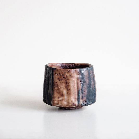 Tetsu Shino Tea Bowl