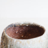Ash Glazed Yohen Tea Bowl